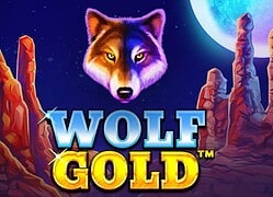 Wolf G JackBit Casino Game