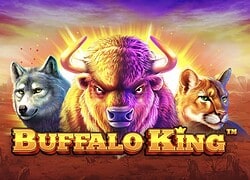 Buffalo King JackBit Casino Slot