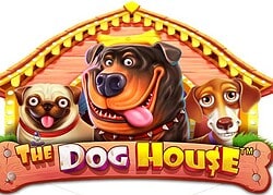 Dog House JackBit Casino Game